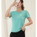 2 Piece Set Quick drying Yoga For Women's Running Fitness T-Shirt Sports Wear Fitness Clothing Women Training Set Pants Sport Suit-7623352