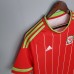 Retro Wales 15/16 home version short sleeve training suit
