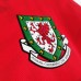 Retro 1992 94 Wales home Jersey version short sleeve 788355