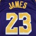 Los Angeles Lakers 23 Jordan Purple NBA Jersey 9716176