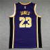 Los Angeles Lakers 23 Jordan Purple NBA Jersey 9716176