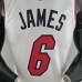 75th Anniversary Miami Heat JAMES #6 White NBA Jersey-7889077