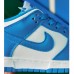 SB Dunk Running Shoes-Blue/White-9133246