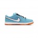 SB Dunk Low Running Shoes-Blue/White-5106590