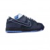 SB Dunk Low Running Shoes-Navy Blue-8923057