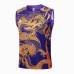 24/25 Real Madrid Purple Gold Training jersey Kit Sleeveless Vest (Vest + Short)-9786160