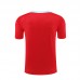 24/25 Barcelona Red Training Jersey Kit short Sleeve (Shirt + Short)-9933108