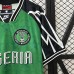 Retro 94/95 Nigeria Home Green Jersey Kit short sleeve-7728076