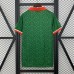 25/26 Ireland St. Patrick's Day Home Green Jersey Version Short Sleeve-5213774