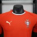 2025 Portugal Home Red Jersey Kit Short Sleeve (Shirt + Short) (Player Version)-3912661