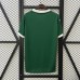25/26 Palmeiras Home Green Jersey Version Short Sleeve-3237467