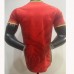 2025 Cameroon Away Red Jersey Version Short Sleeve (Player Version)-4554382